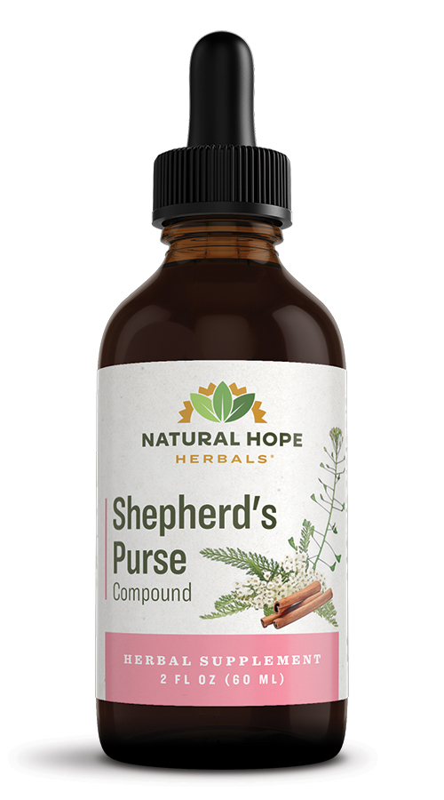 Weeds: Shepherd's-purse – Capsella bursa-pastoris | Hortsense | Washington  State University