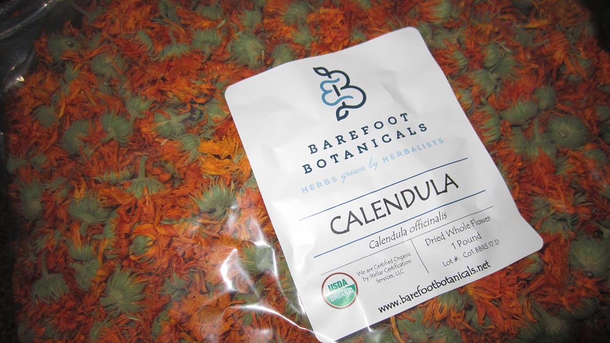 Calendula-officinalis-vibrant-beautiful-herb-2.jpeg