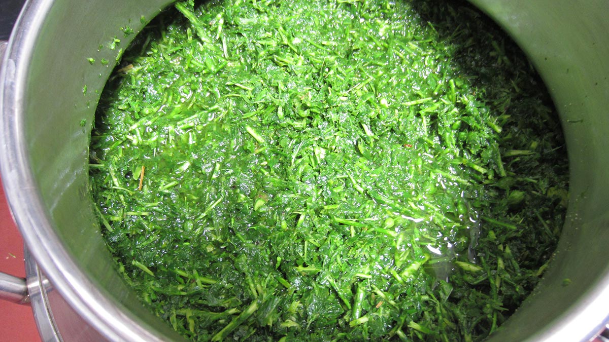 Lobelia-inflata-lobelia-herb-processing-maceration-1.jpeg